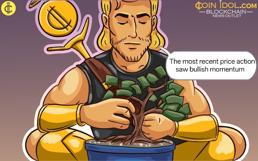 BNB's Bullish Resilience: Why Binance Coin Holds Firm Above $600 Amidst Market Flux