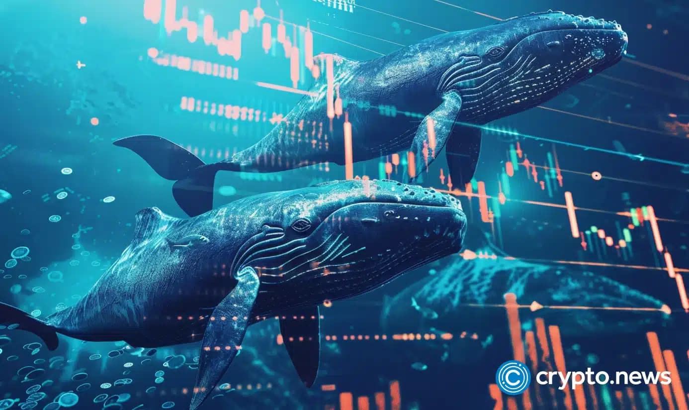 Veteran Bitcoin Whale Stirs Market with 1,000 BTC Transfer Amidst Mounting Selling Pressure
