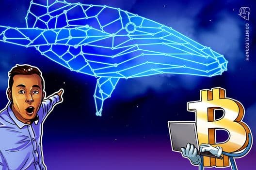 Bitcoin Whales Go Shopping: Santiment Reveals Significant BTC Accumulation at $71K