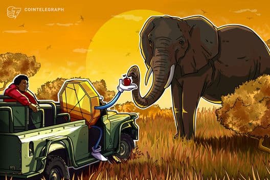 Africa's Blockchain Philanthropy: Unpacking the Challenges and Charting a Sustainable Path