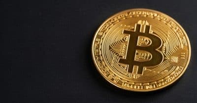 Decoding Elon Musk's Latest Crypto Play: The Bitcoin Waifu and Its Market Echoes