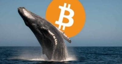 Bitcoin à 72K : Analyse des Whales et Stratégies Trading