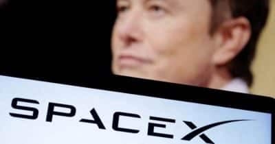 Decoding Elon Musk's Crypto Influence & Meme Mascots