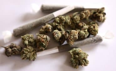 Cannabis Reclassification: Market Impact & Trading Signals