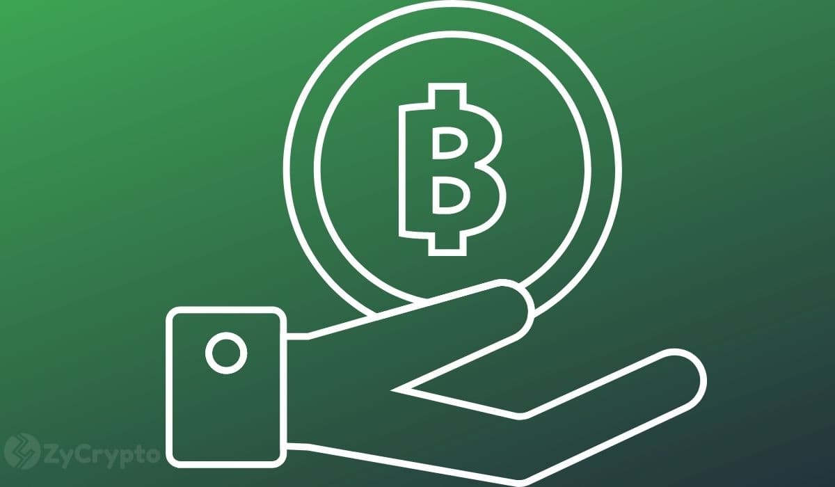 Bitcoin's Base-Building Phase: Coinbase Unpacks Key Indicators for Strategic Traders