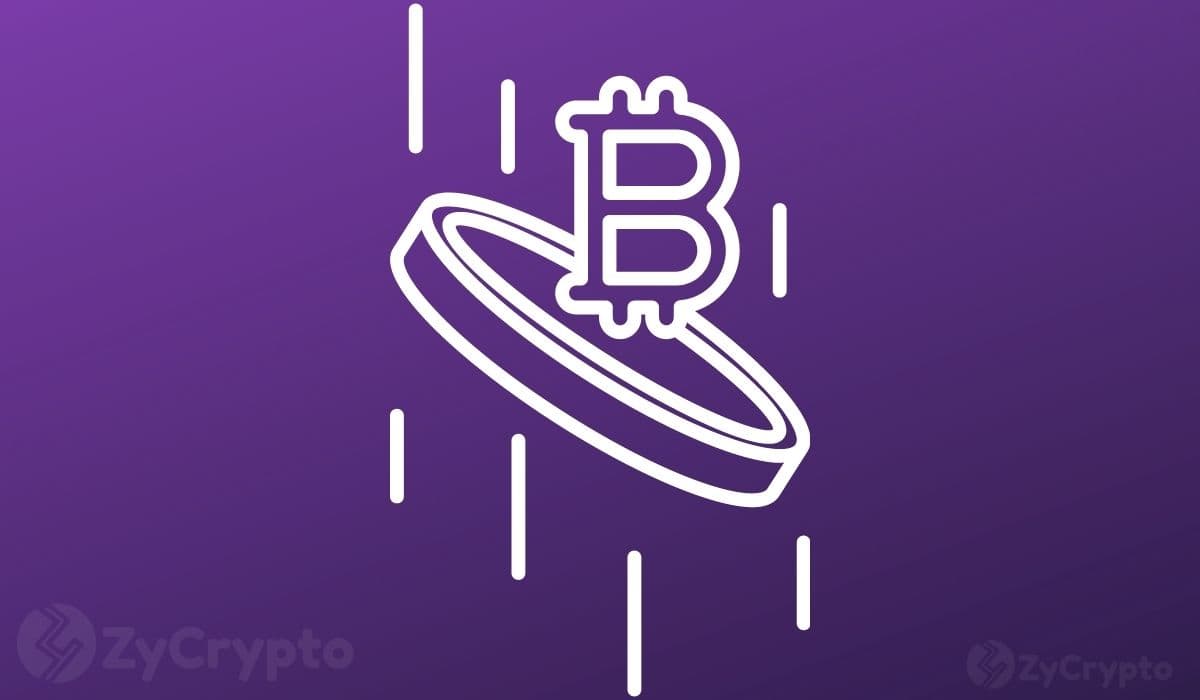 Arthur Hayes's $1 Crypto Play: Why It's Not Bitcoin and What It Means for Traders
