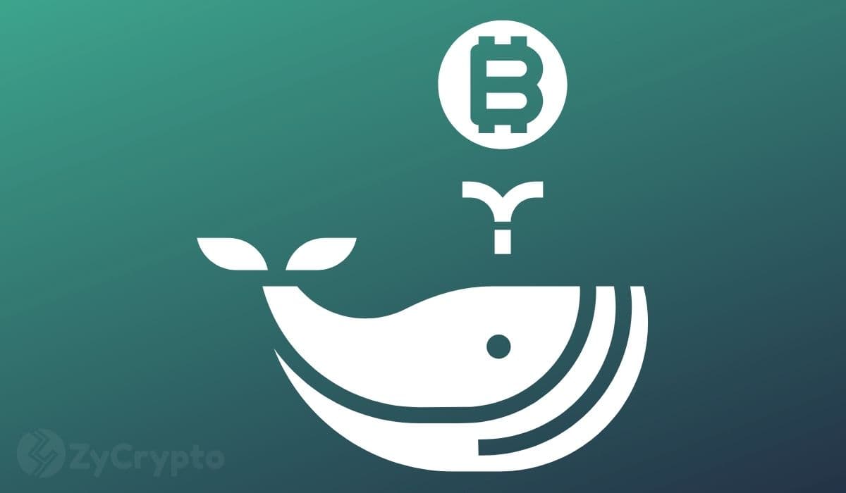 Bitcoin Whales Shed $117M+ Amidst Fading Fed Rate Cut Hopes: A Market Reassessment