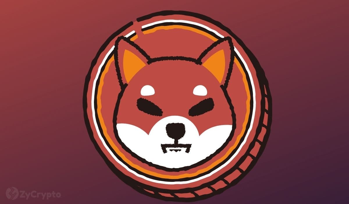Shiba Inu's Pivotal Juncture: Price Action & Shibarium's Advancing Block Index