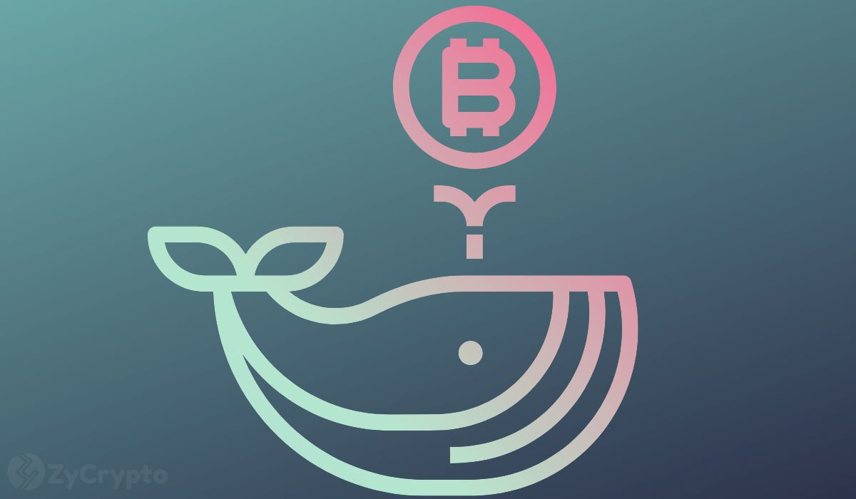 MicroStrategy's Unwavering Bitcoin Bet: Saylor Adds Another 3,015 BTC to Treasury