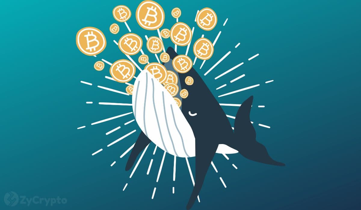 Beyond Satoshi: The Ambitious Bitcoin Accumulation Play Reshaping BTC's Future by 2027