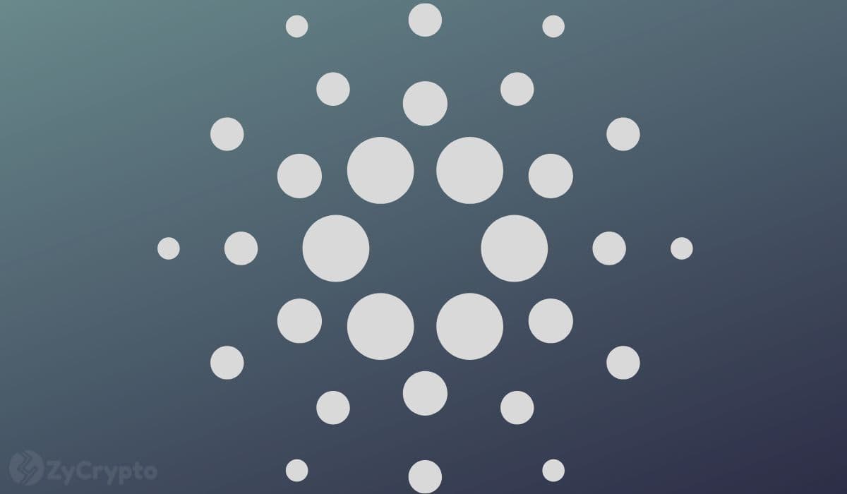 Cardano's Midnight Protocol: A Multi-Billion Dollar Privacy Revolution on the Horizon?