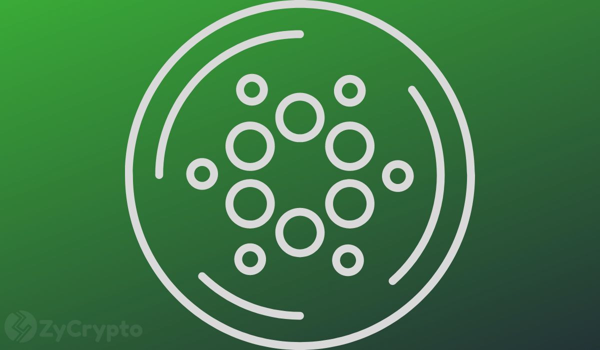 Cardano (ADA) Défie les Géants : Peut-il Maintenir son Élan Face à Bitcoin et XRP ?