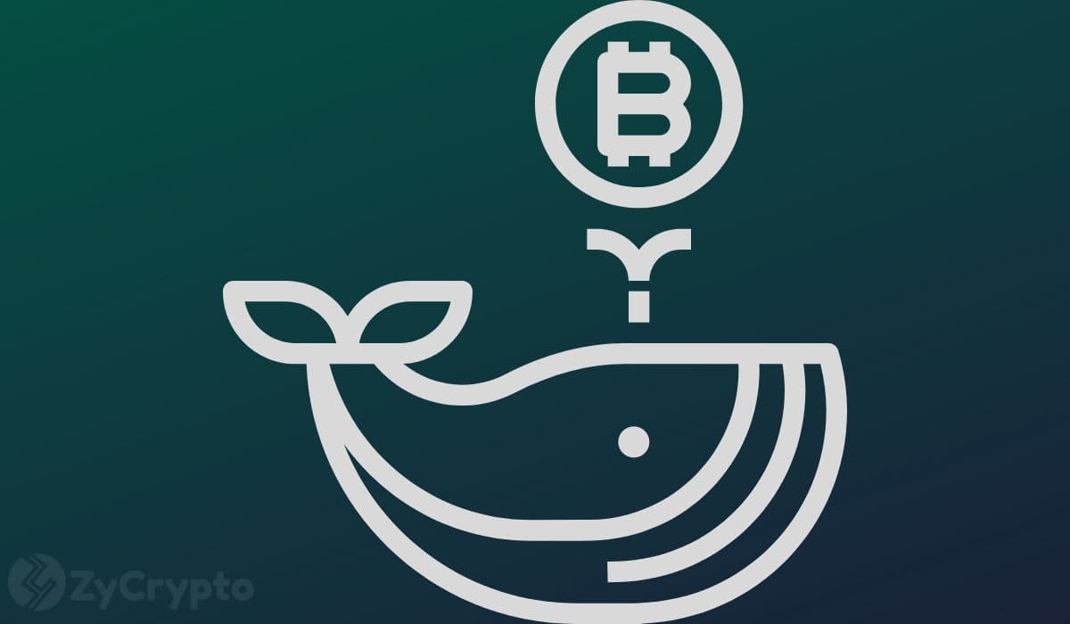 Bitcoin's $72,000 Gauntlet: Whale Sell Walls Challenge BTC's Bullish Momentum