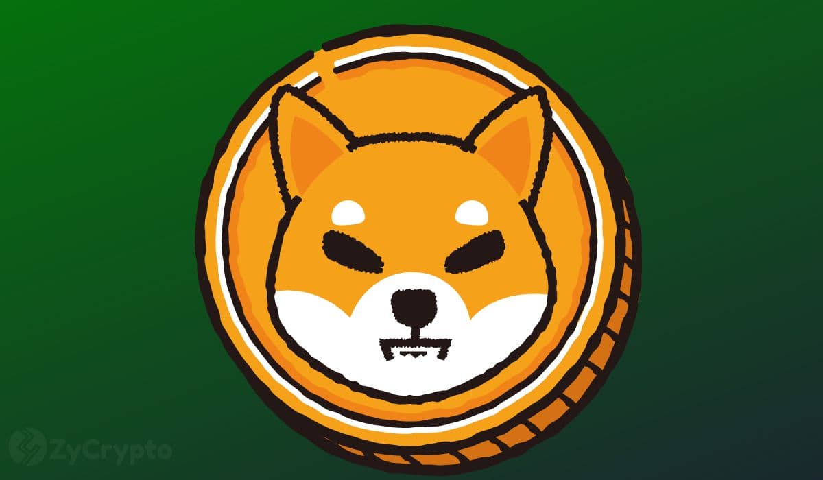 Shiba Inu's Path to Mainstream: SEC Commodity Status Fuels Spot ETF Hopes