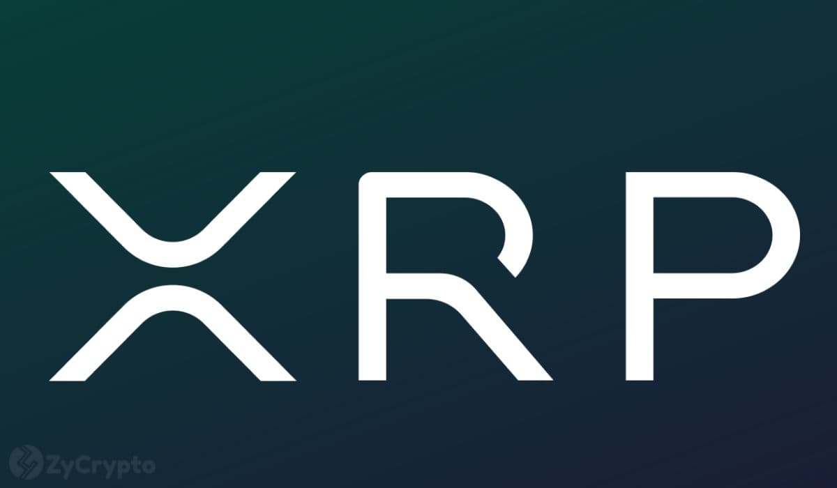 XRP's Ambitious Ascent: Do 'Millionaire' Wallets Signal a Path to $31?