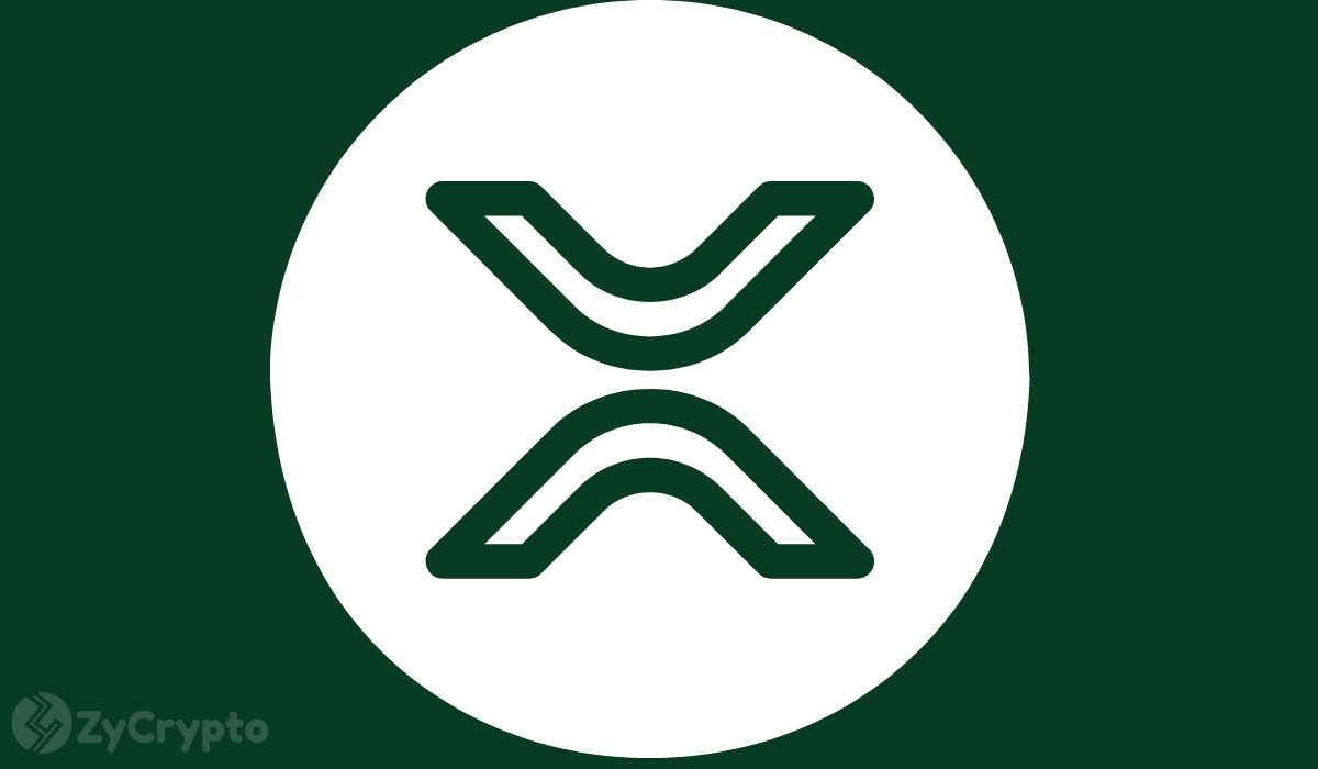 XRP im Fokus: Treibt massive Akkumulation den Kurs auf 10 US-Dollar?