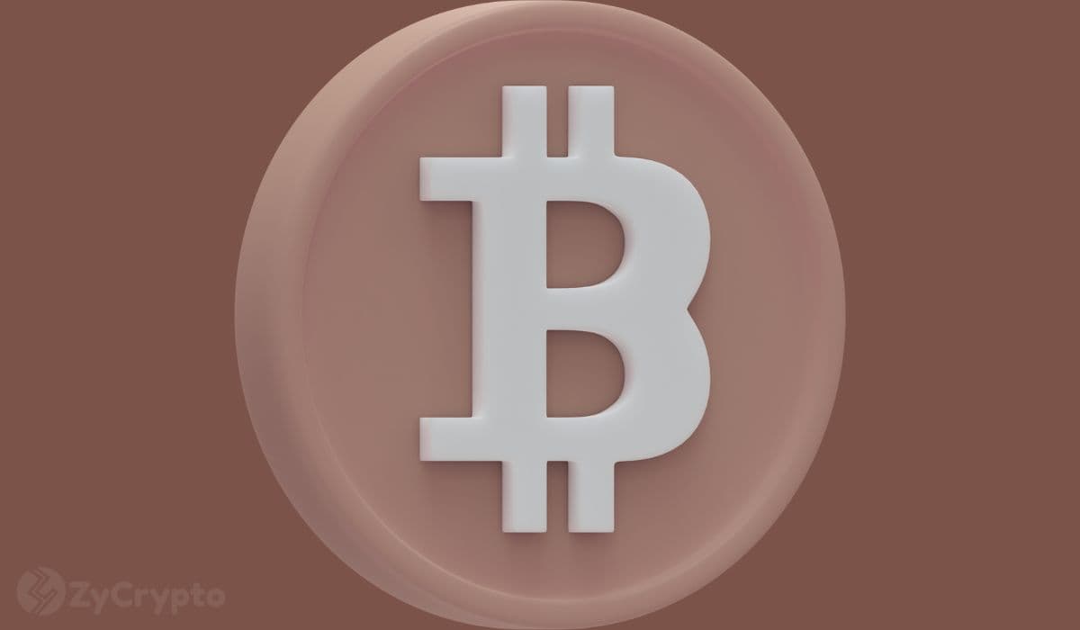 Dispelling the 'Ponzi' Myth: Academic & Institutional Views Counter Bitcoin's Mischaracterization