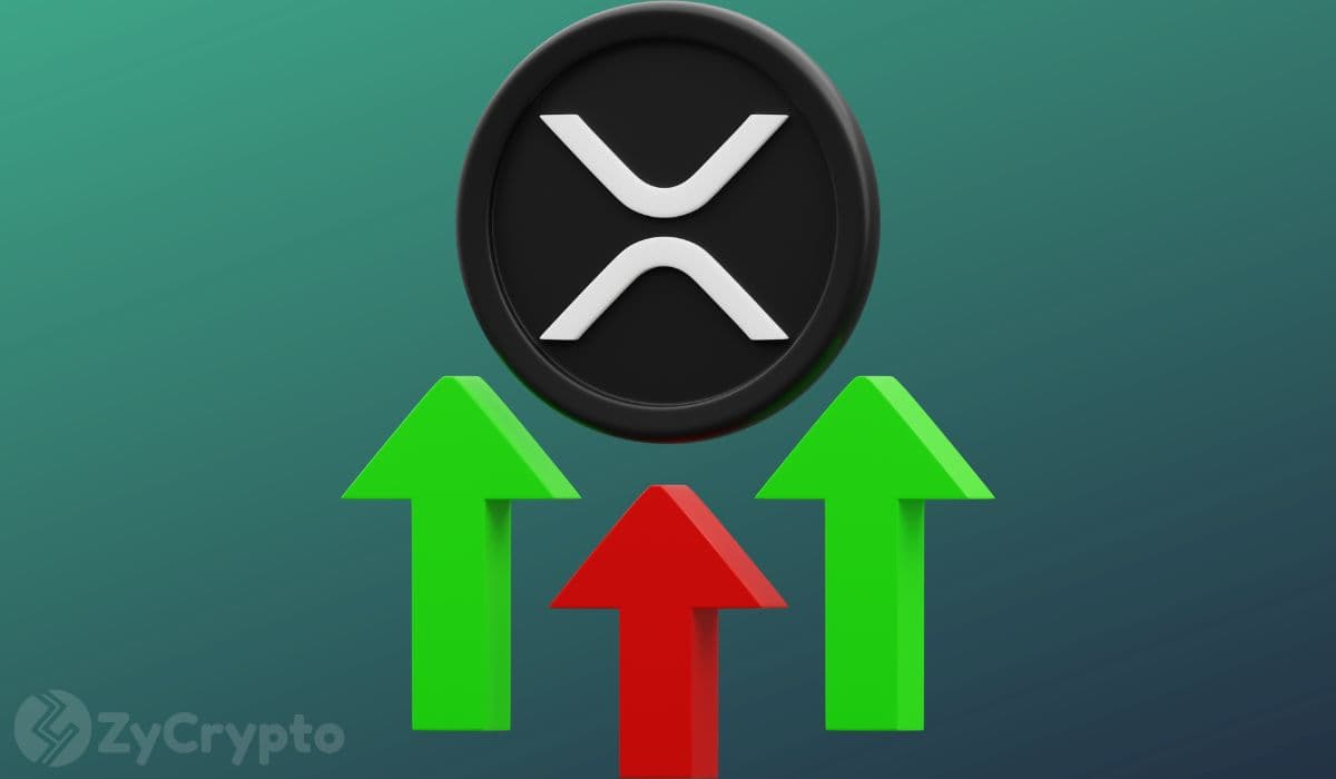 XRP Whales Resurface: Market Pundits Eye Ambitious Targets as Millionaire Wallets Swell